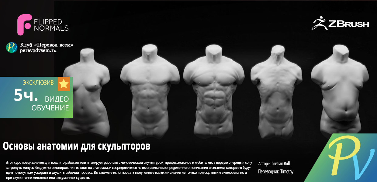 1087.Flippednormals-Fundamental-Anatomy-for-Sculptors.png