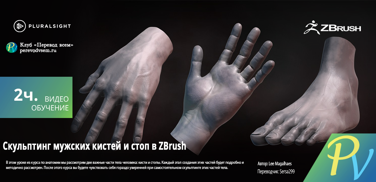 1205.Digital-Tutors-Sculpting-Human-Hands-and-Feet-in-ZBrush.png