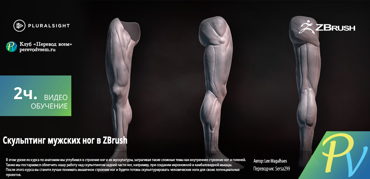 1205.Digital-Tutors-Sculpting-Human-Legs-in-ZBrush.png