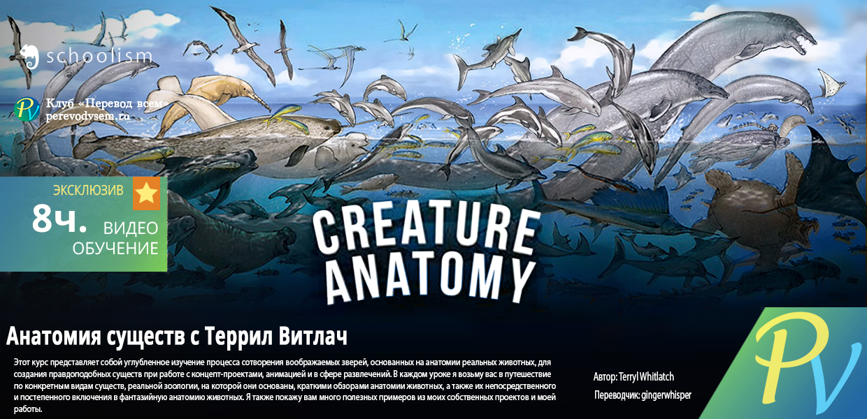 1365.Schoolism-Creature-Anatomy.png