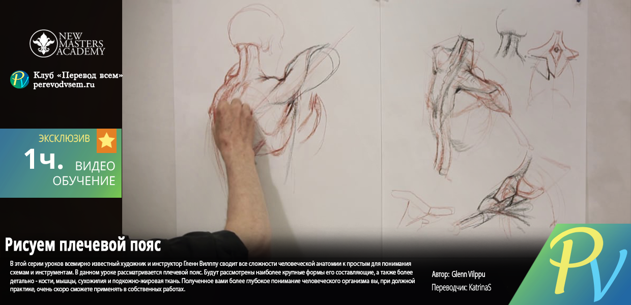 1456.New-masters-academy-Drawing-the-shoulder-girdle.png
