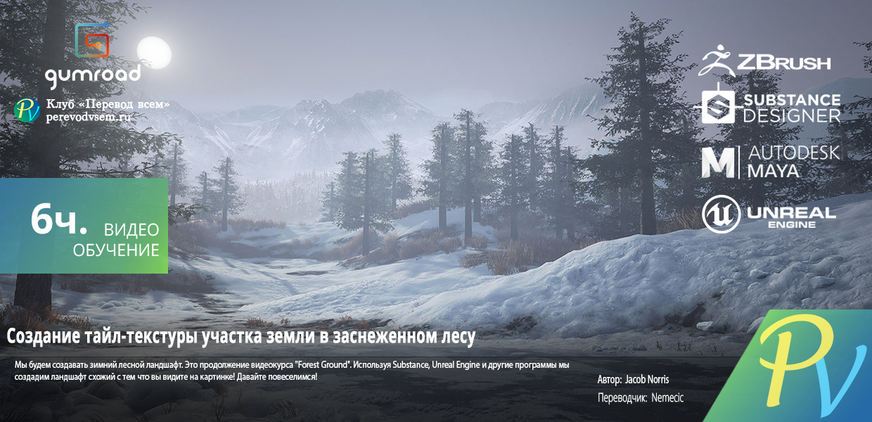 351.Gumroad-Forest-Snow-Ground.png