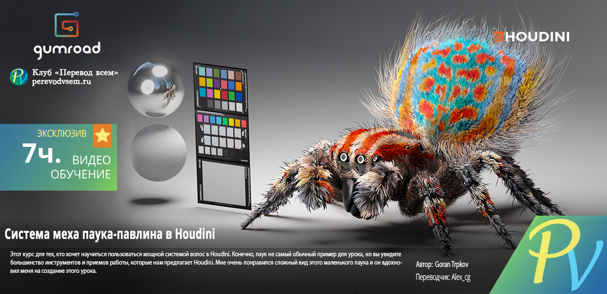 406.Gumroad-Peacock-Spider-Fur-Grooming-Tutorial-in-Houdini.png