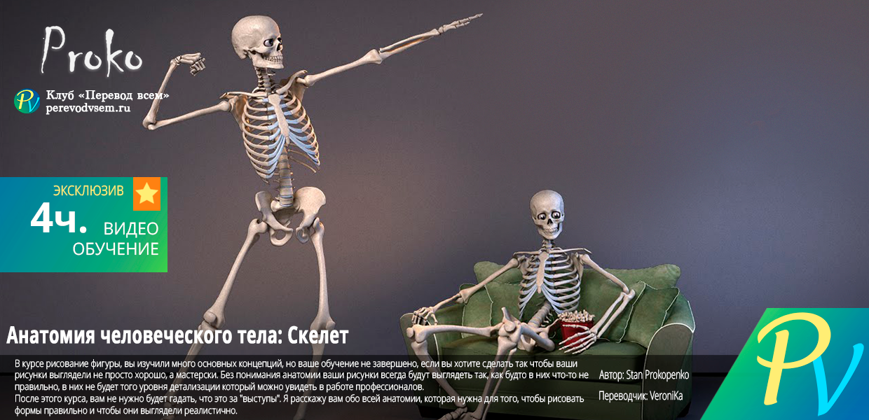 Anatomy-of-the-Human-Body-Skeleton.png
