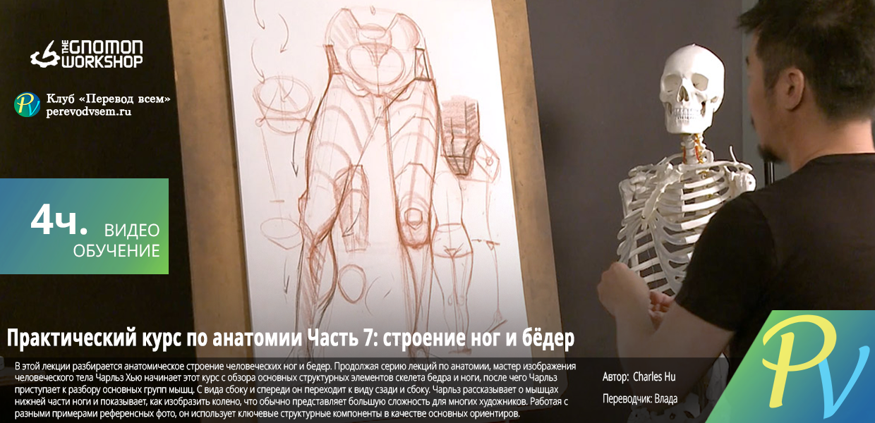 Anatomy-Workshop-Volume-Seven.png