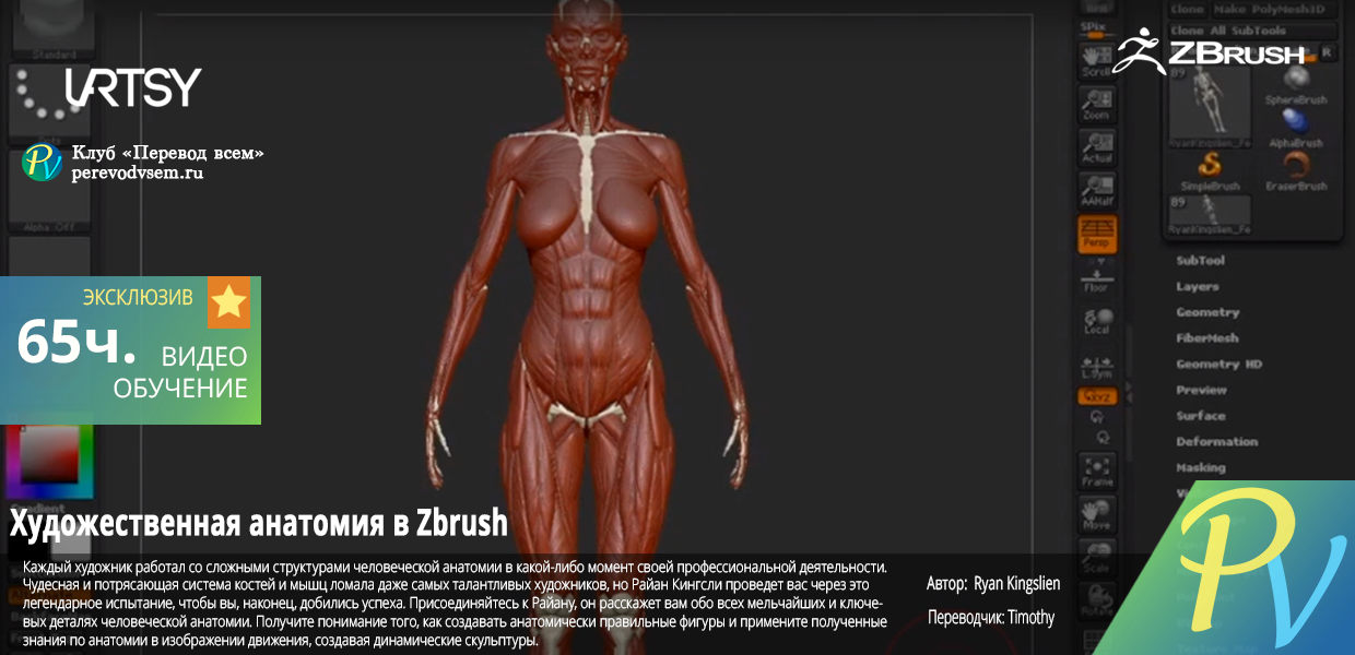 Artistic-Anatomy-in-ZBrush.png