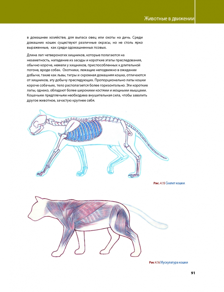 dccce13eb0893d793eccb95082b7c242.jpg