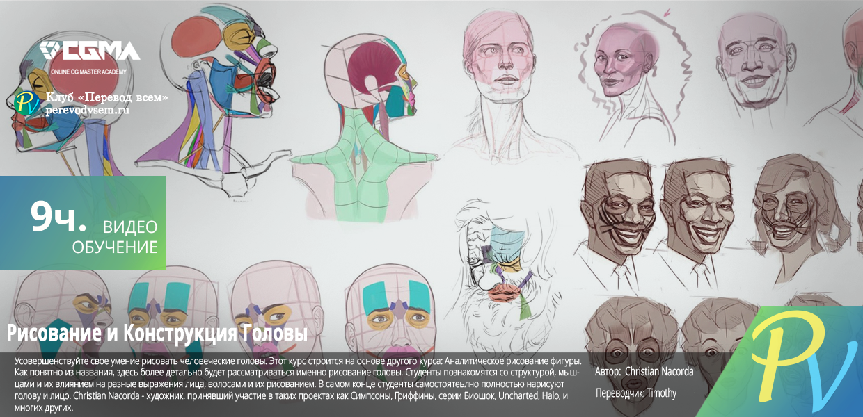Head-Drawing-and-Construction.png
