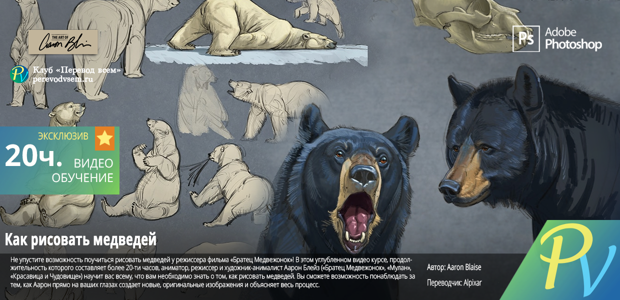 How-to-Draw-Bears.png