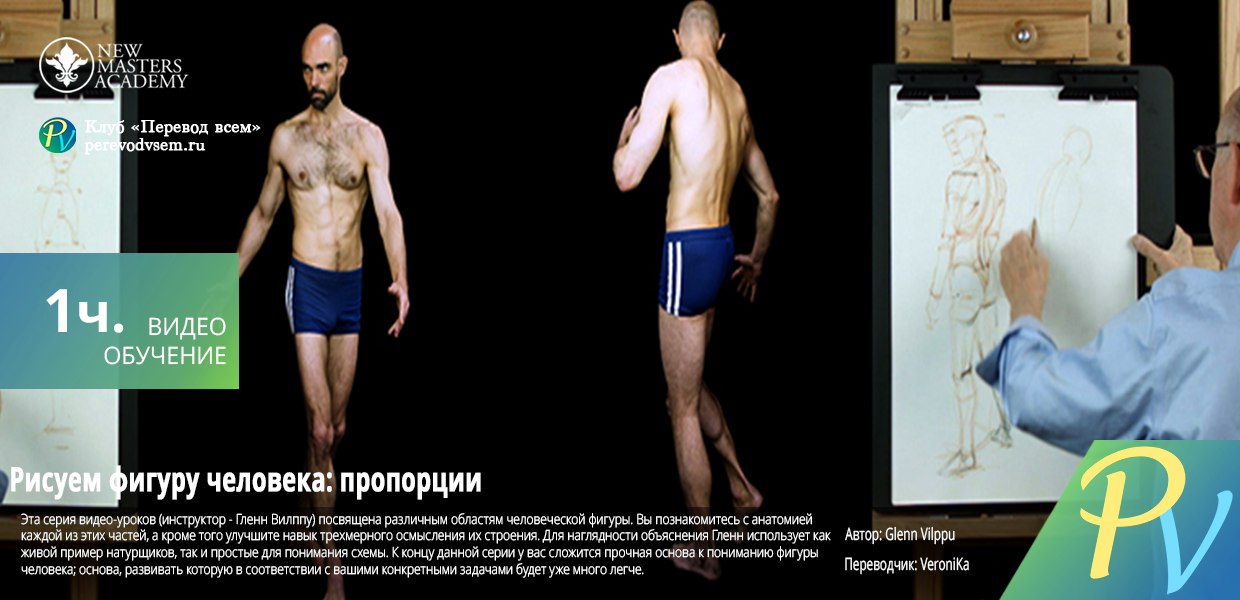 New-masters-academy-Drawing-the-figure-proportions.jpg