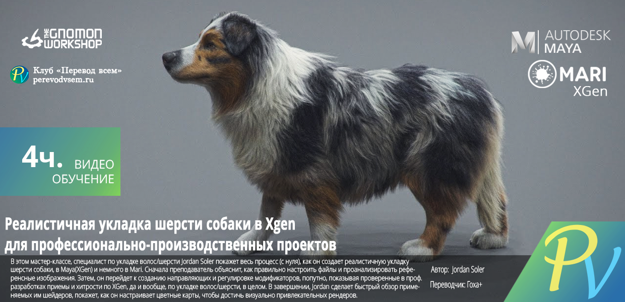 Realistic-Dog-Grooming-for-Production-with-Xgen.png