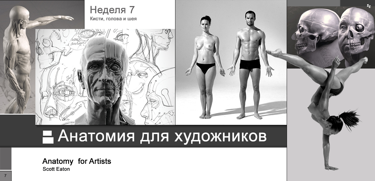 Scott-Eaton-Anatomy-for-Artists-Week-7.png