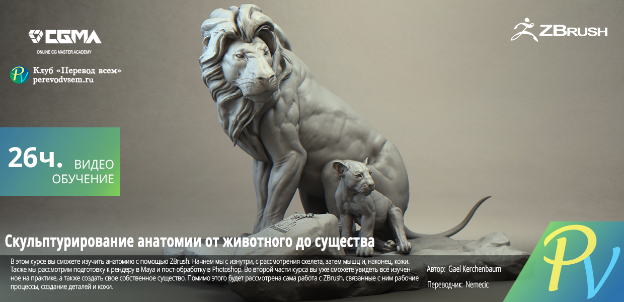 SKULPTURIROVANIE-ANATOMII-OT-ZIVOTNOGO-DO-SUSESTVA.png