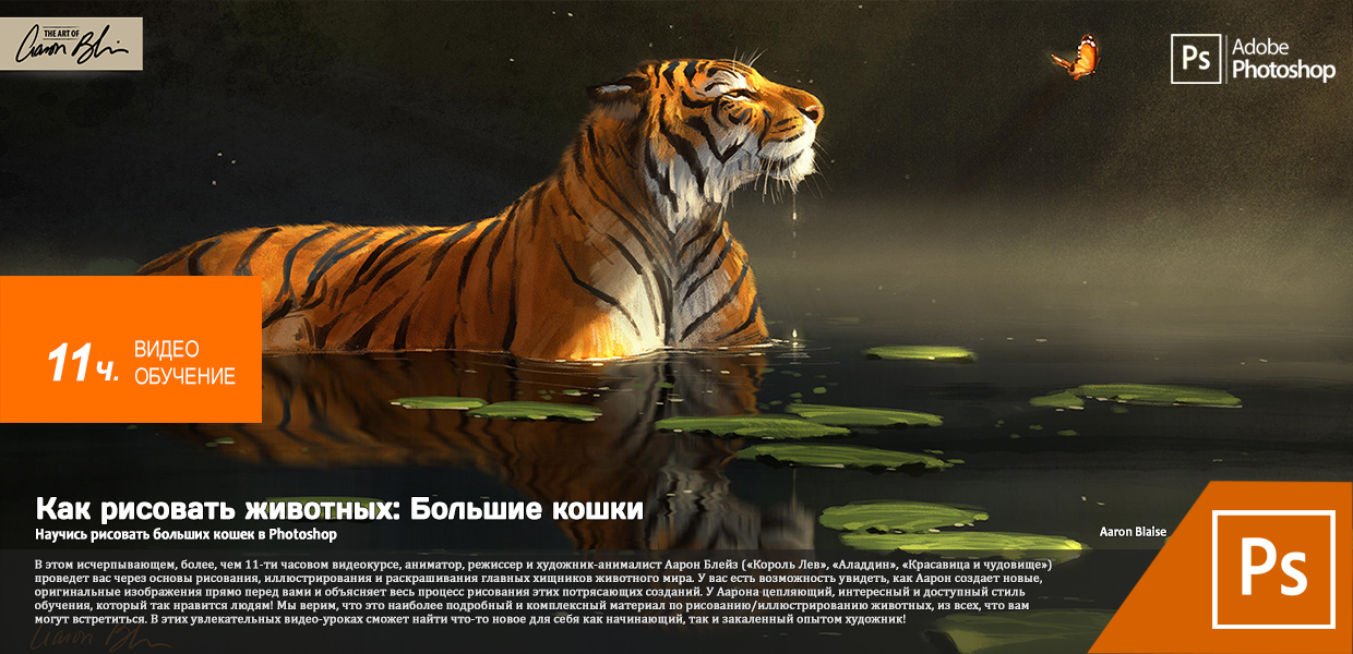 The-Art-Of-Aaron-Blaise-How-to-Draw-Animals-Big-Cats.png