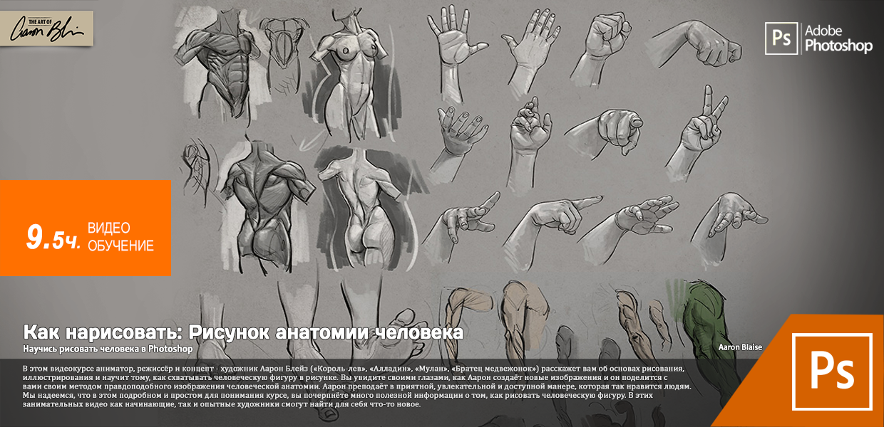 The-Art-Of-Aaron-Blaise-How-to-Draw-Drawing-Human-Anatomy.png