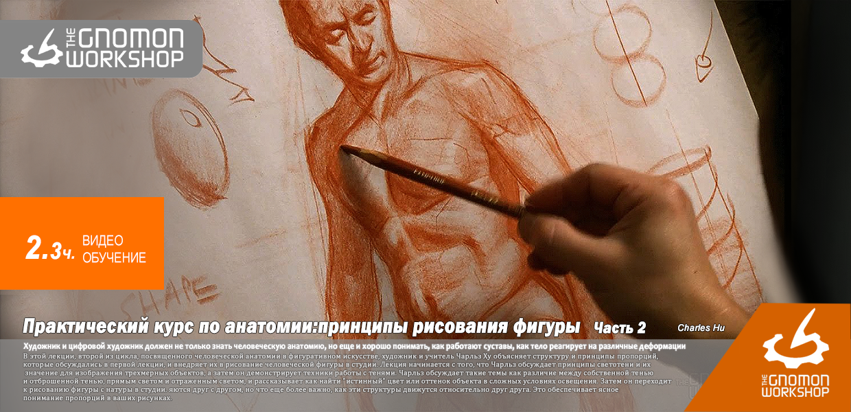 The-Gnomon-Workshop-Anatomy-Workshop-Volume-2.png
