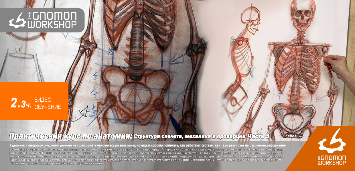 The-Gnomon-Workshop-Anatomy-Workshop-Volume-3.png