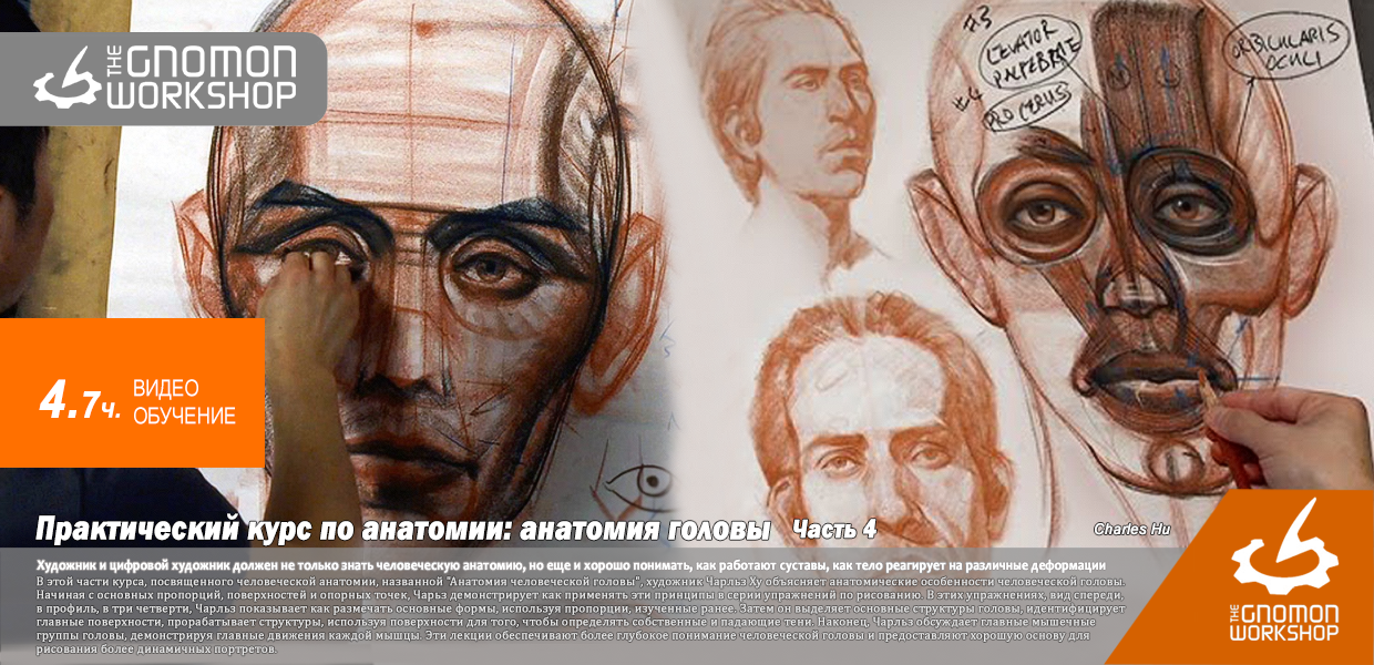 The-Gnomon-Workshop-Anatomy-Workshop-Volume-4-1.png