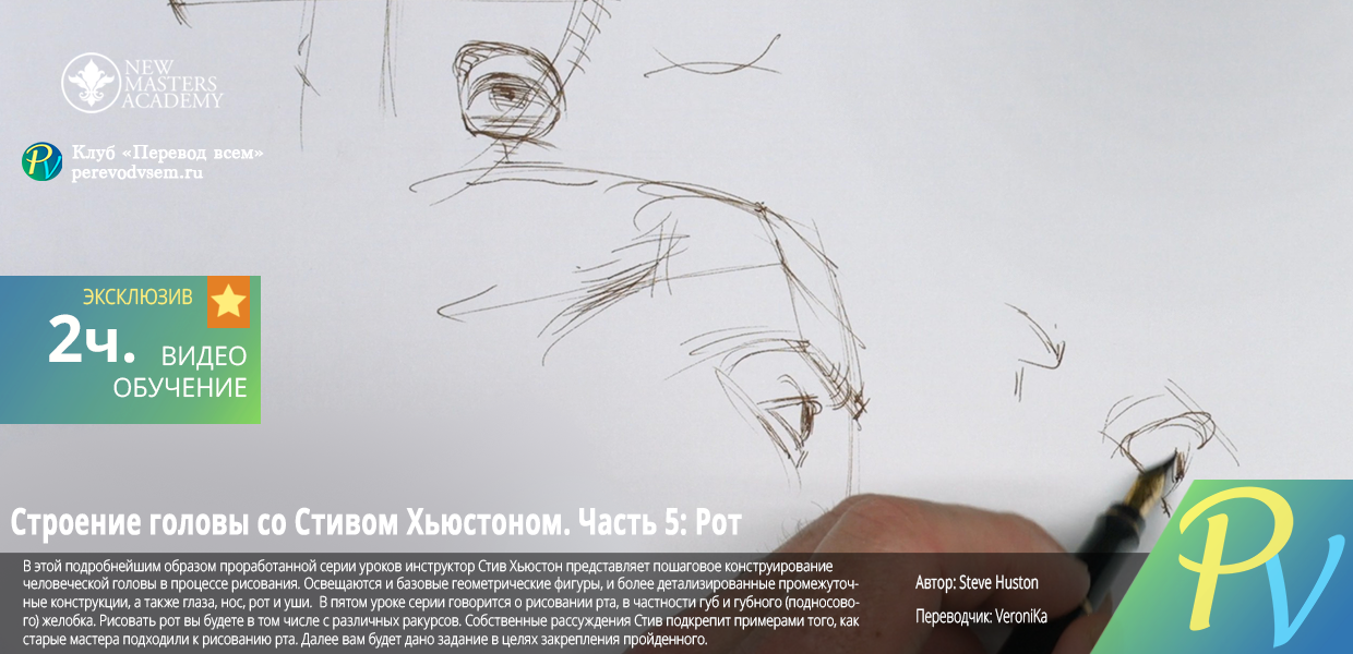 The-Structure-of-the-Head-Part-5.png
