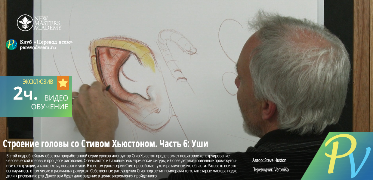 The-Structure-of-the-Head-Part-6.png