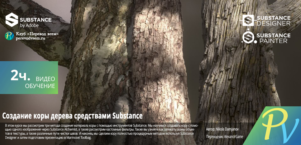 Tree-Bark-with-Nikola-Damjanov.jpg