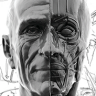 [Cкотт Итон] Portraiture and Facial Anatomy Week 6 [ENG-RUS]