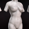 [Digital Tutors] Sculpting Female Torsos in ZBrush [ENG-RUS]