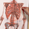 [The Gnomon Workshop] Anatomy Workshop: Volume Three [ENG-RUS]