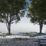 [Levelup.Digital] Game-Ready Tree Creation from Maya to Unreal [ENG-RUS]