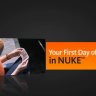 [Digital Tutors] Your First Day of Tracking in NUKE [ENG-RUS]