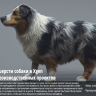 [The Gnomon Workshop] Realistic Dog Grooming for Production with Xgen [ENG-RUS]