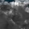 [The Gnomon Workshop] Introduction to Maya Fluid Effects Volume 2 [ENG-RUS]