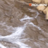 [CGcircuit] Applied Houdini Liquids II [ENG-RUS]